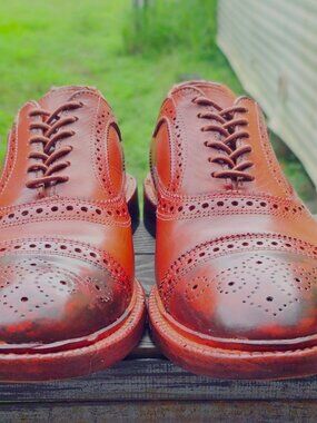 Allen Edmonds Elgin Brown 9.5-D Burnished Mens Leather Captoe Oxford Dress Shoes